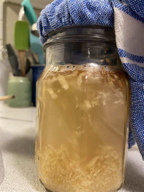 My Ginger Bug Rfermentation