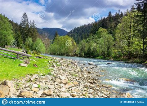 Mountain River Among The Forest In Spring Stock Photo