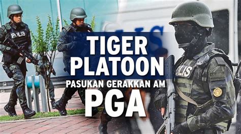 Batalion Pga Akan Dilengkapkan Unit Tiger Platoon Sabah Post