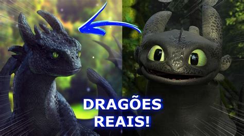 DragÕes Na Vida Real Eles Existiram Realistic Dragons Httyd Youtube