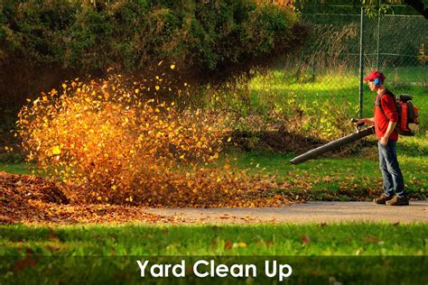 Fall Leaf Clean Up And Yard Clean Up Of Lawns And Gardens Oakville