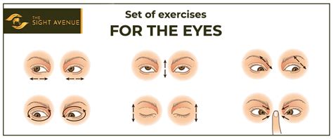 6 Helpful Exercises To Enhance Your Eye Muscles The Sight Avenue