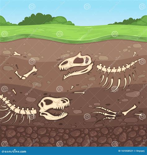 Buried Skeleton Dinosaur Ancient Reptile Marine Fossilized In Rock Old