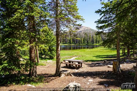 Site 1 Lilly Lake Campground