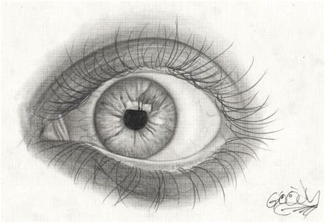 Eye Por Goodylt Otros Dibujos