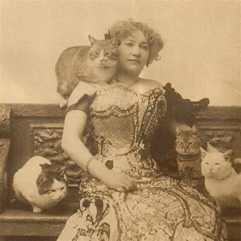 This Picture Of A Victorian Cat Lady Is Incredibly Delightful To Me Thought You All Would Enjoy