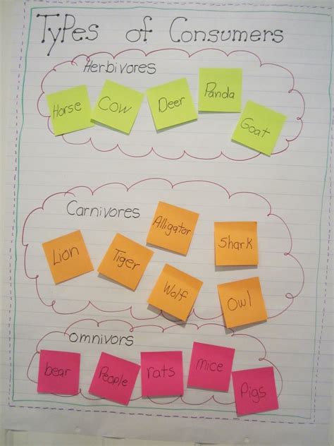 Great Anchor Chart On Types Of Consumers Here Plus Links To Games