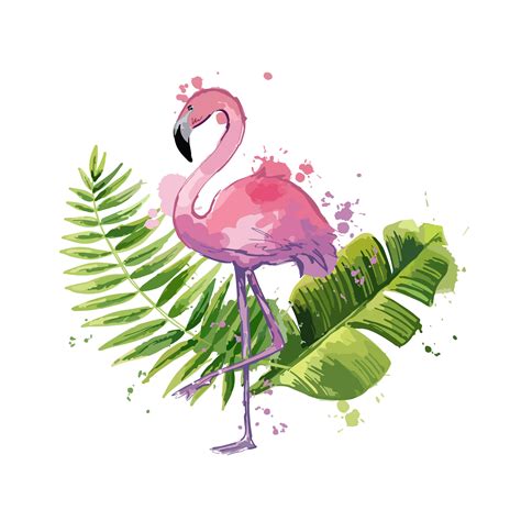 Vector Pink Flamingo With Exotic Tropical Leaves Isolated On A White