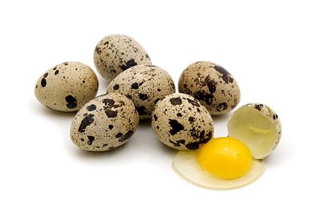 A quail egg on a white background, a quail`s egg,. Health Benefits Of Quail Eggs