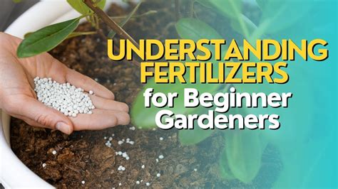 Understanding Fertilizers For Beginner Gardeners Youtube