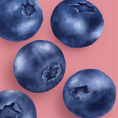 Blueberry Painting At Paintingvalley Com Explore Collection Of