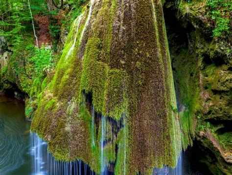 Le Plus Beau Paysage Fleuri Voyez Les Meilleures Images De La Nature