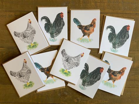Chicken Note Cards Original Watercolor Print Variety Set Of 9 Barred
