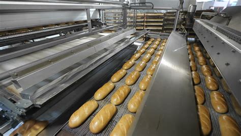 Bread Processing Plant Hot Sex Picture