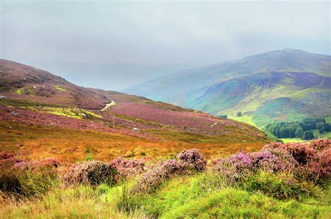 Multicolored Hills Wicklow Ireland Photograph By Jenny Rainbow Fine