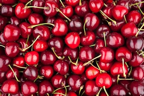 75 Interesting Cherries Facts