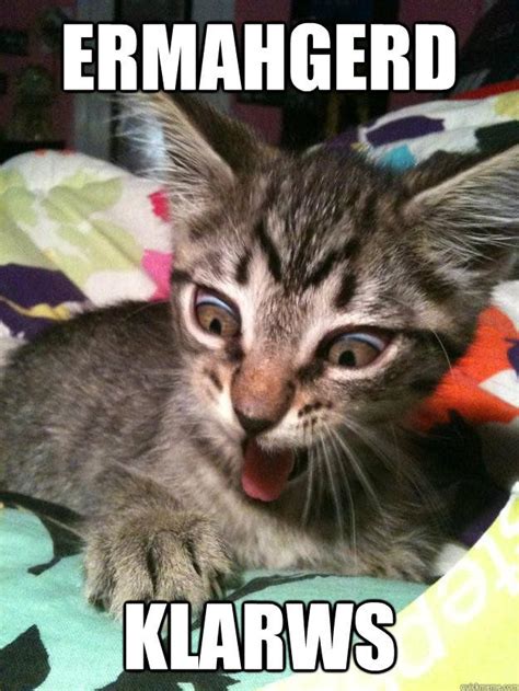 17 Best Images About Ermahgerd Cat On Pinterest Cats Funny And Cats