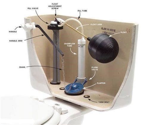 The Parts Of A Toilet Dbs Plumbing And Drain
