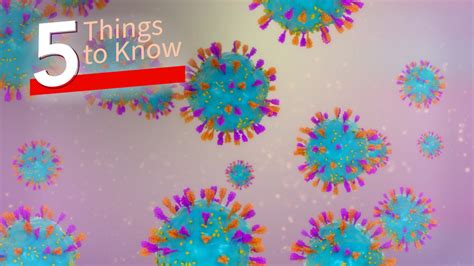 5 Things To Know This Week Rsv Vaccine October Deals Most Recent