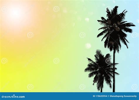 Abstract Summer Tropical Backgrounds Set With Coconut Colorful Palm