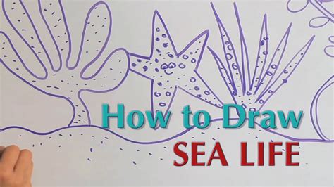 How To Draw Sea Life Great Artist Mom Guided Drawing