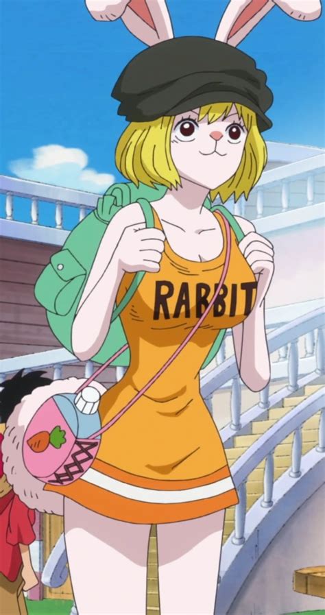Who Is Carrot In One Piece
