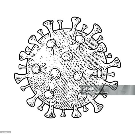 Coronavirus Bacteria Cell Vintage Vector Black Engraving Stock