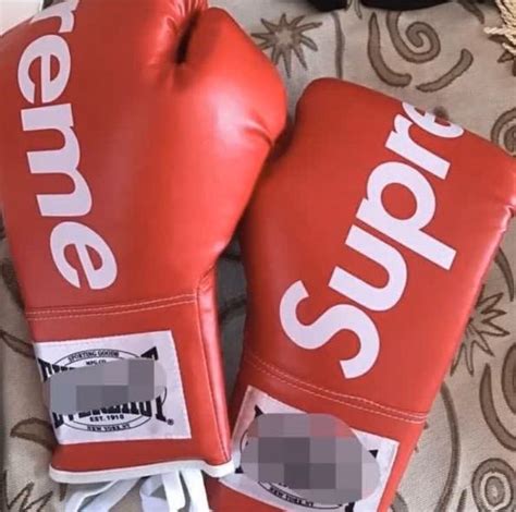 Supreme Everlast Boxing Gloves Sports Equipment Sports And Games