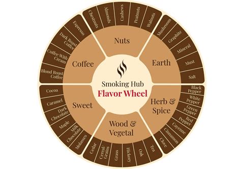 The Complete Beginners Guide To Cigar Smoking Smoking Hub