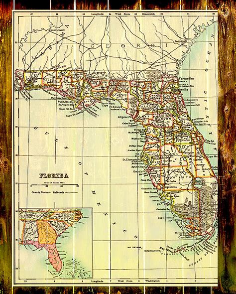 Florida 1885 Digital Art By Steven Parker Fine Art America