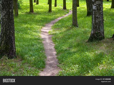 Path Park Among Trees Image And Photo Free Trial Bigstock