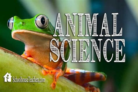 Animal Science Homeschool Course Schoolhouse Teachers Animal