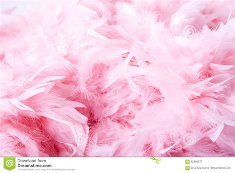 Pink Feathers Background Stock Photo 250552813 Shutterstock 26d