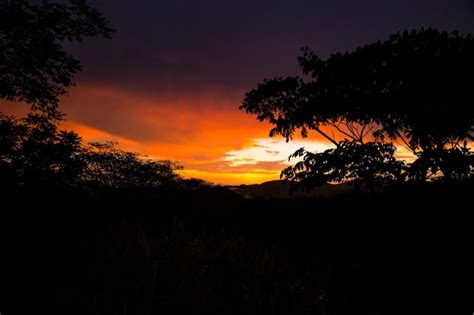 Free Photo Silhouette Of Trees And Mountain During Sunset In Rainforest