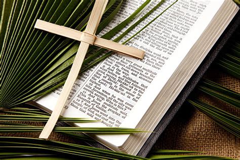Palm Sunday Pictures Images And Stock Photos Istock