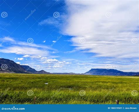 Beautiful Desert Green Fields With Blue Skys Oregon Stock Image Image