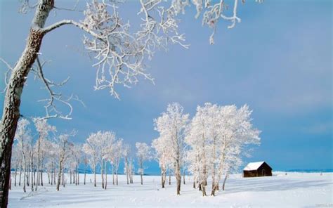 Beautiful Winter Images Pixelstalknet