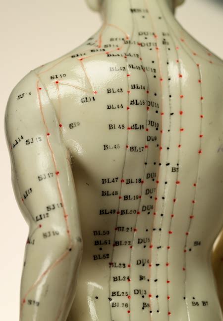 Back Acupuncture Points | Acupuncture, Acupressure ...