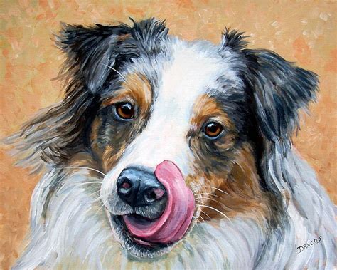 Australian Shepherd Tricolored Tongue On Nose Painting By Dottie Dracos