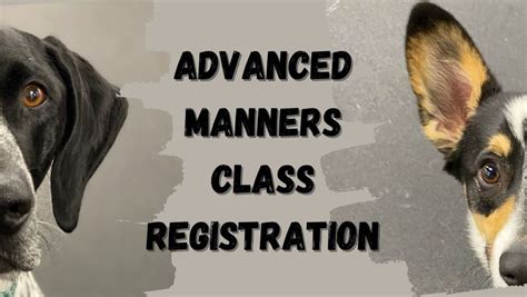 Advanced Manners Class Registration Ht Dog Training