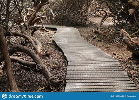 Wooden Boardwalk Stock Photo Image Of Outdoors Countryside 218689650