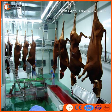 Halal foods are foods that muslims are allowed to eat under islamic dietary guidelines. China Halal Killing Box with Cattle Slaughter Line Machine ...