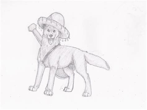 Sombrero Wolf By Kumorihitsuki On Deviantart