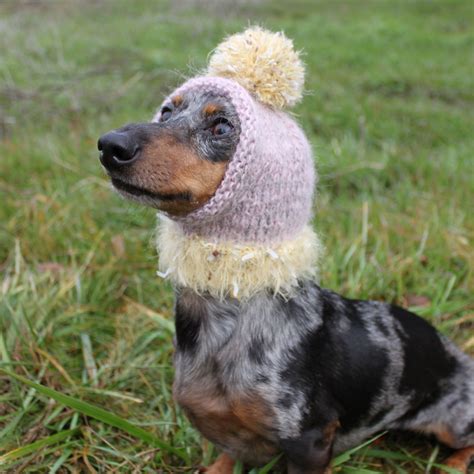 Check Out This Knitted Mini Dachshund Dog Hat By Lucky Fox Knits On