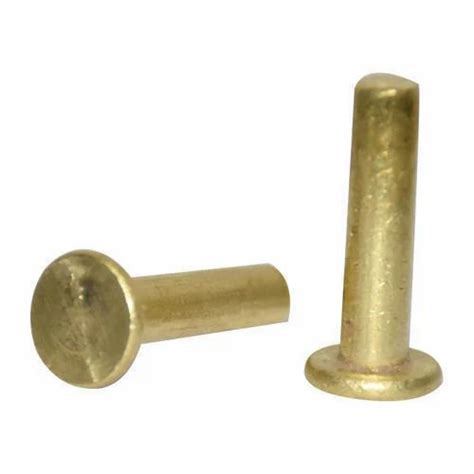 Brass Rivet Size 2 To 5 Inch At Rs 25piece In Pune Id 20069173148