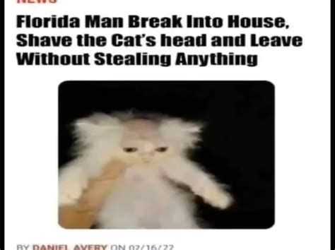Florida Man Break Into House Shave The Cat S Head And Leave Without