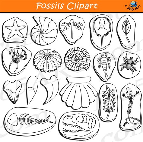 We did not find results for: Library of fossil clipart library stock black and white ...