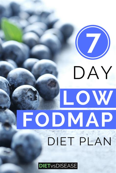 low fodmap diet the diy beginners guide plus printable pdf charts porn sex picture