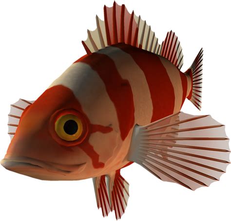 Free Png Clipart Some Fish