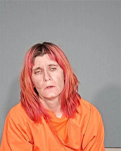 Beaver Dam Woman Convicted Of Running From Police Daily Dodge